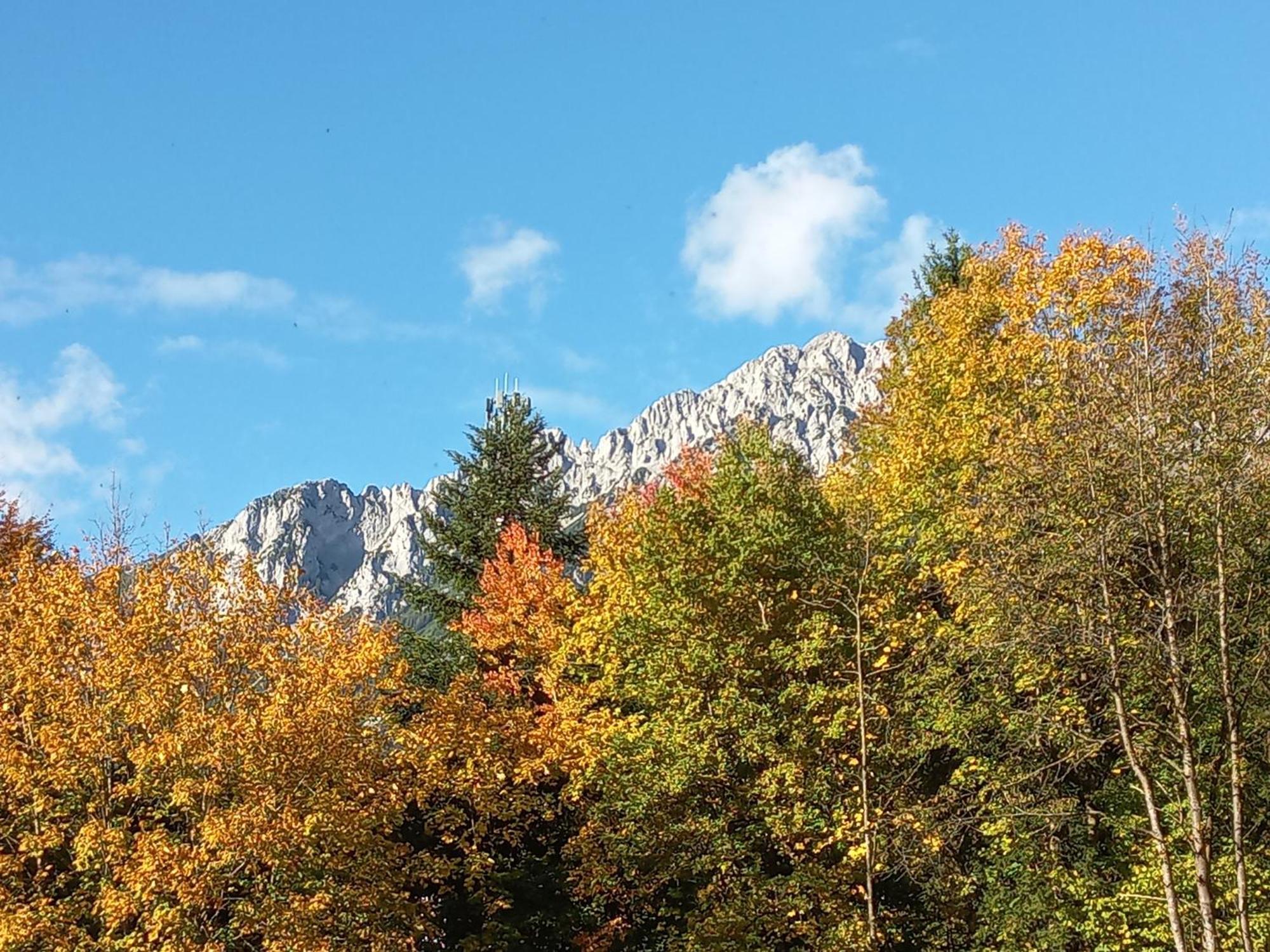 Apartament Scheffauerhof Scheffau am Wilden Kaiser Zewnętrze zdjęcie